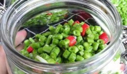 酸豆角爆料视频大全集最新,揭秘幕后真相与精彩瞬间